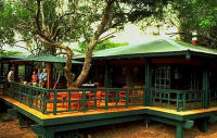 Phinda Forest Lodge