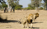 South Luangwa Walking Safaris - Walking Safari in Zambia - www.Photosafaris.travel  