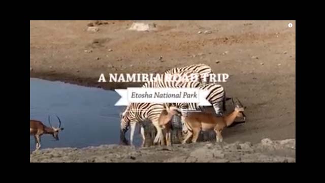 A NAMIBIA ROAD TRIP - Etosha National Park 