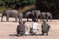 Customized Safaris in Zambia - www.Photosafaris.travel