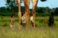 Customized Safaris in Zambia - www.Photosafaris.travel