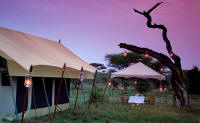 Serengeti Under Canvas - Honeymoon Safaris in Tanzania and Zanzibar Island - www.PhotoSafaris.travel