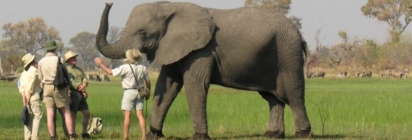 Sanctuary Baines Camp - www.PhotoSafaris.travel