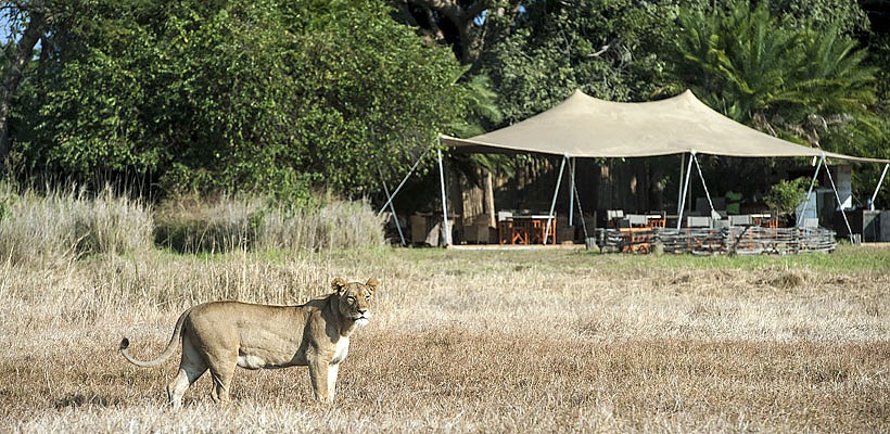 Busanga Camp - Wilderness Safaris - www.PhotoSafaris.travel