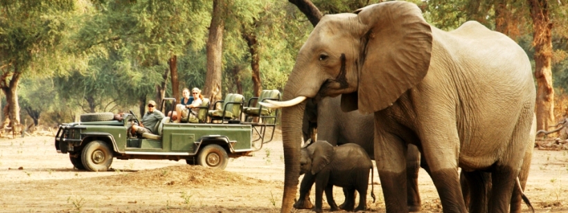 Chikwenya Safari Lodge, Mana Pools - www.PhotoSafaris.travel