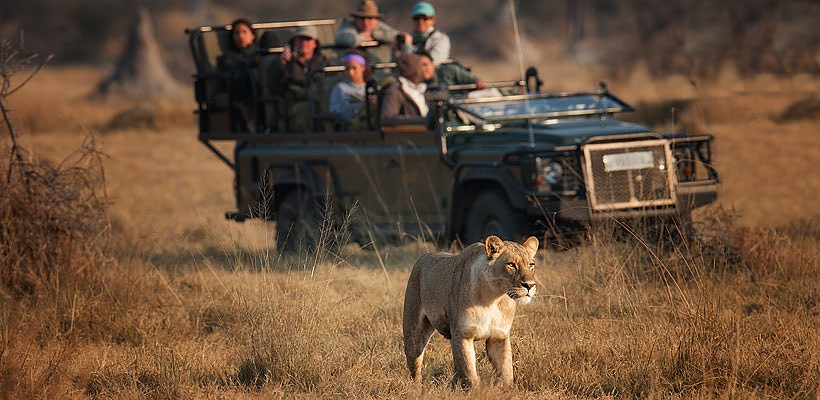 Chitabe Lediba Camp with Wilderness Safaris - www.PhotoSafaris.travel