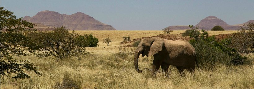 Okahirongo Elephant Lodge, Kaokoland, Namibia - www.PhotoSafaris.travel