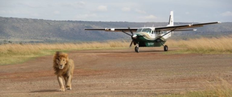 The Best of Kenya Safari (11 Days) - www.PhotoSafaris.travel