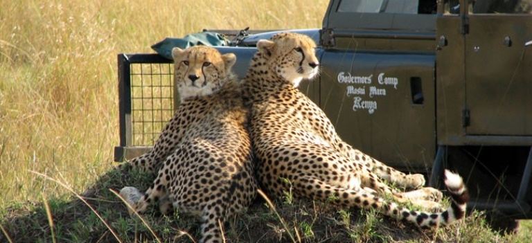 The Best of Kenya Safari (11 Days) - www.PhotoSafaris.travel