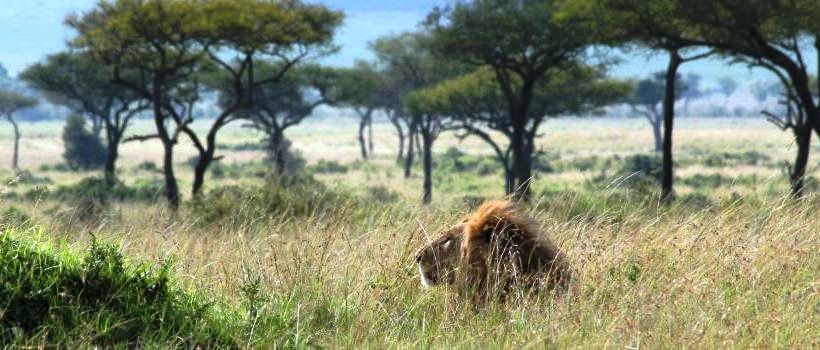 Governors' Private Camp, Masai Mara - www.PhotoSafaris.travel