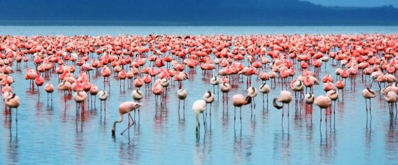 Escarpment Luxury Lodge (Lake Manyara) Tanzania - www.PhotoSafaris.travel