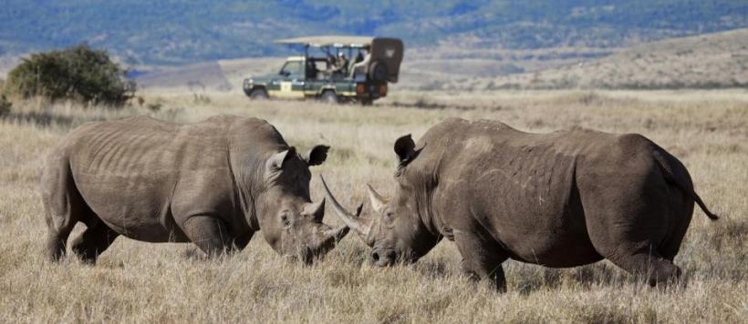 Bush Homes through Kenya Safari (10 Days) - www.PhotoSafaris.travel