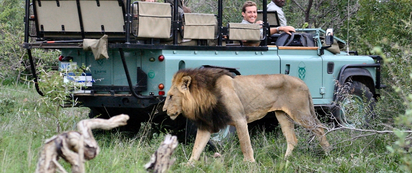 Lukimbi Safari Lodge (Northern Kruger National Park, Limpopo Province) South Africa - www.PhotoSafaris.travel