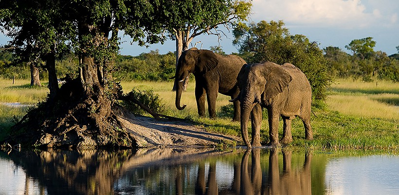 Little Makololo Camp - Picture by Wildernerss Safaris - www.PhotoSafaris.travel