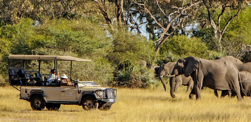 Little Mombo with Wilderness Safaris - www.PhotoSafaris.travel