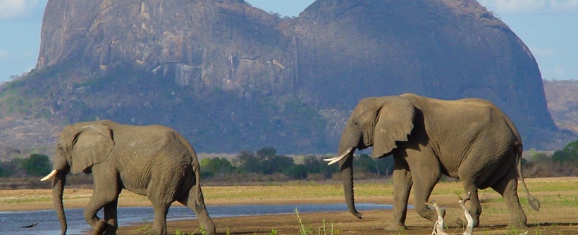 Lugenda Wilderness Lodge (Nyassa Wildlife Reserve) Mozambique - www.PhotoSafaris.travel