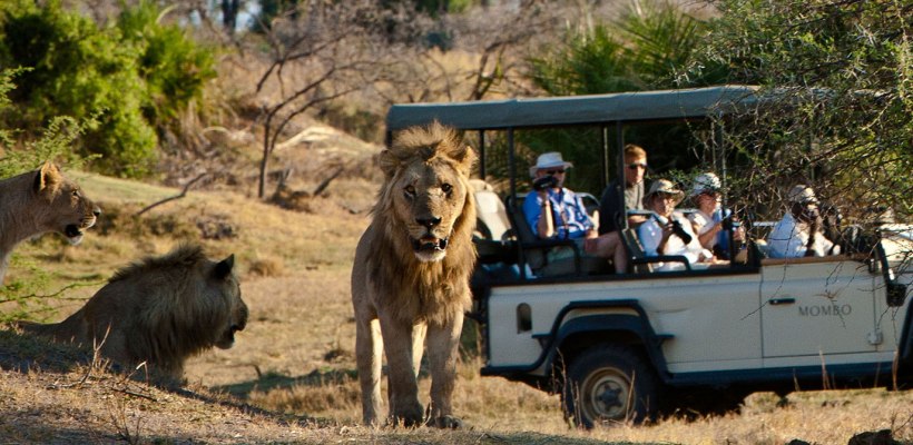 Mombo Camp with Wilderness Safaris - www.PhotoSafaris.travel