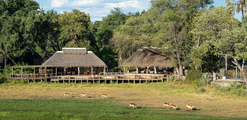 Mombo Camp with Wilderness Safaris - www.PhotoSafaris.travel