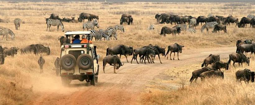 Lemala Ngorongoro Camp (Ngorongoro Conservation Area) Tanzania - www.PhotoSafaris.travel