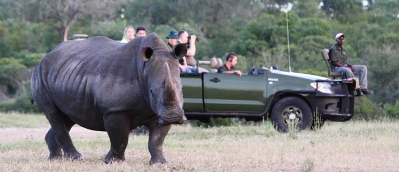 Nkorho Bush Lodge (Sabi Sand Game Reserve) South Africa - www.PhotoSafaris.travel