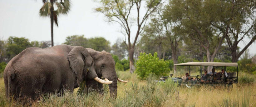 Nxabega Okavango Camp - www.PhotoSafaris.travel