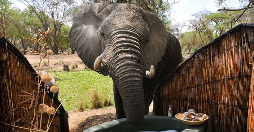 Old Mondoro Camp - www.PhotoSafaris.travel