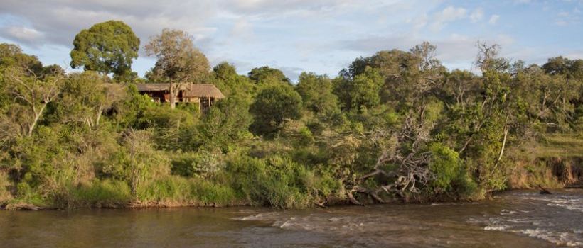 Serian (Mara North Conservancy - North of the Masai Mara Game Reserve) Kenya - www.PhotoSafaris.travel