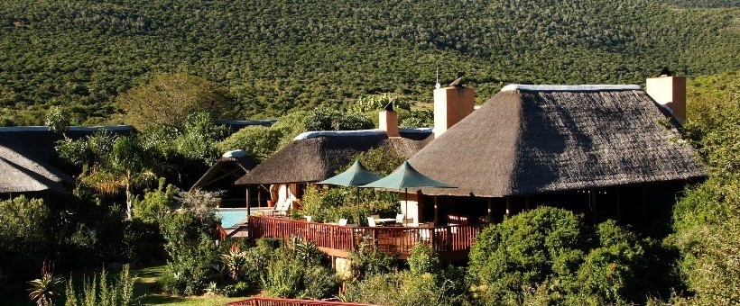 Shamwari Game Reserve (Eastern Cape) South Africa -  www.PhotoSafaris.travel