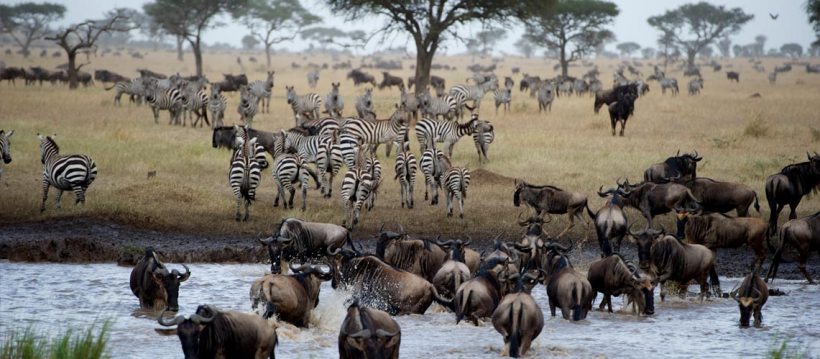 Singita Mara River Tented Camp (Lamai Triangle, Serengeti National Park) Tanzania - www.PhotoSafaris.travel