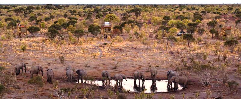 Skybeds (Kwai Concession, Moremi) Botswana - www.PhotoSafaris.travel