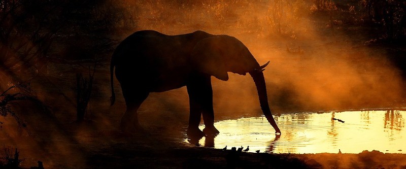 Skybeds (Kwai Concession, Moremi) Botswana - www.PhotoSafaris.travel