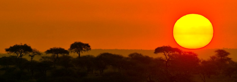 The Kiboko Safari (6 Days) -   www.Photosafaris.travel