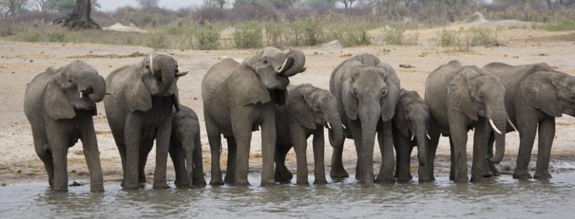 The Hide Safari Camp (Hwange National Park) Zimbabwe - www.PhotoSafaris.travel