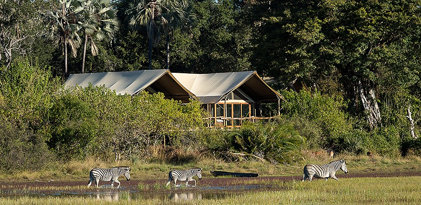 Tubu Tree Camp (Okavango Delta) Botswana with Wilderness Safaris - www.PhotoSafaris.travel with Wilderness Safaris - www.PhotoSafaris.travel