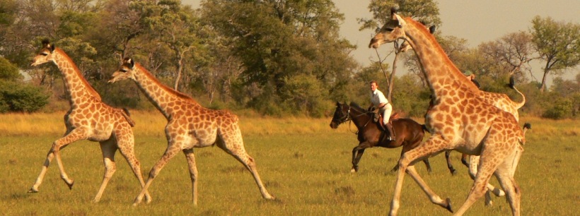 African Horseback Safaris - www.PhotoSafaris.travel