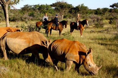 Rhinos at Ants Hill - www.PhotoSafaris.travel