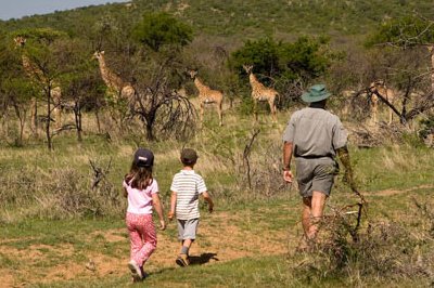 Game Walk at Ants Hill - www.PhotoSafaris.travel