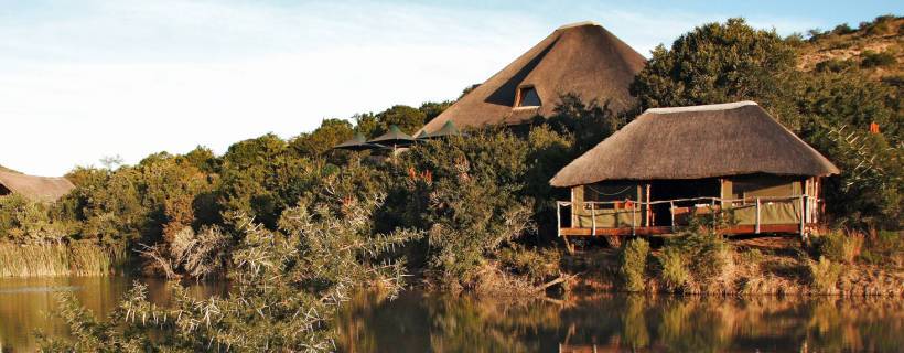 Shamwari Game Reserve (Eastern Cape) South Africa -  www.PhotoSafaris.travel