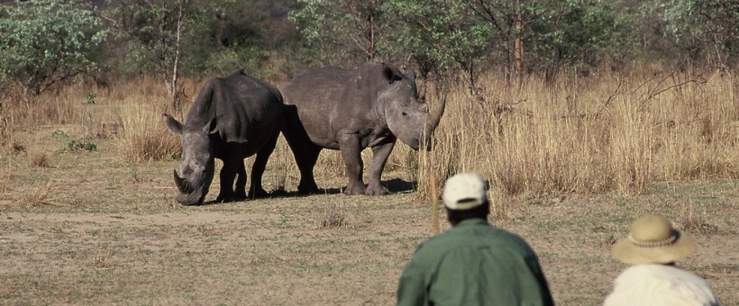 Big Cave Camp, Matabos, Zimbabwe - www.PhotoSafaris.travel