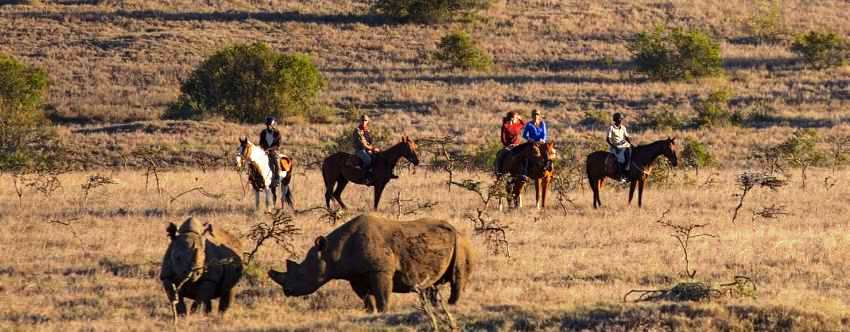 Borana Safari Lodge, Laikipia, Kenya - www.PhotoSafaris.travel