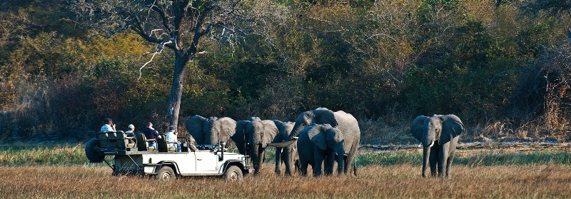 Busanga Camp - Wilderness Safaris - www.PhotoSafaris.travel