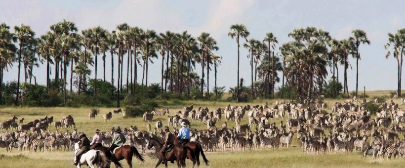 Camp Kalahari - www.PhotoSafaris.travel