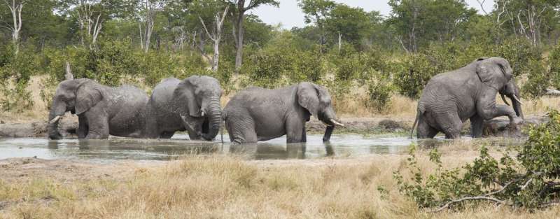 Camp Kuzuma - www.PhotoSafaris.travel