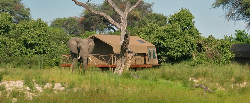 Camp Savuti - www.PhotoSafaris.travel