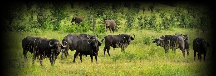 Chichele Presidential Lodge, Zambia - www.PhotoSafaris.travel