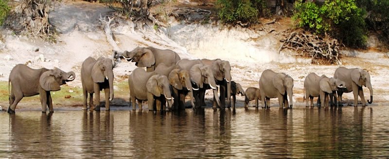 Chobe Water Villas - www.PhotoSafaris.travel