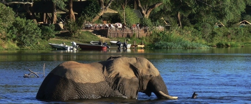 Chongwe River Camp, Zambia - www.PhotoSafaris.travel