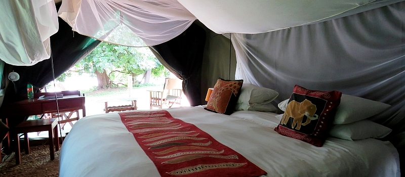 Croc Valley Camp (South Luangwa National Park) Zambia  - www.PhotoSafaris.travel