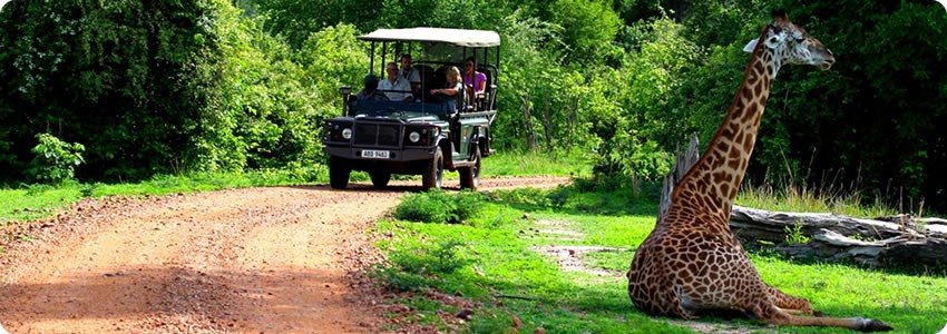 Croc Valley Camp (South Luangwa National Park) Zambia  - www.PhotoSafaris.travel