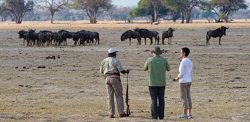 Davisons Camp - Picture by Wilderness Safaris - www.PhotoSafaris.travel